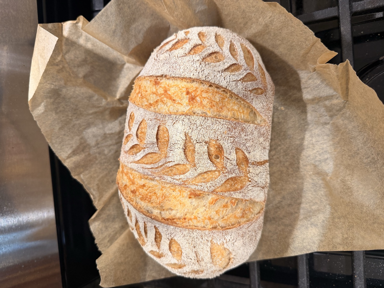 Organic sandwich sourdough loaf